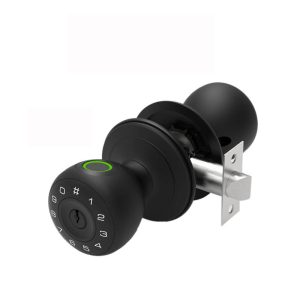 Intelligent Knob Lock Bedroom Indoor Smart Door Handle Lock MQ-01